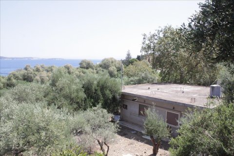 13680m² Land en Souda, Greece No. 57944 4