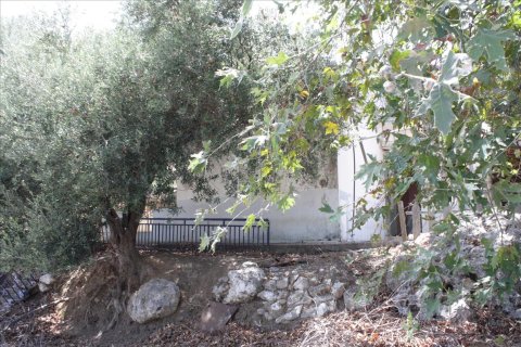 13680m² Land à Souda, Greece No. 57944 11