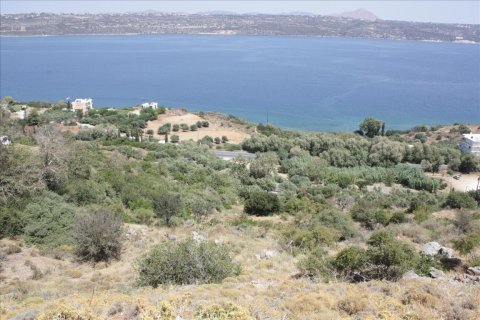 13680m² Land en Souda, Greece No. 57944 9