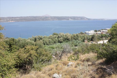 13680m² Land in Souda, Greece No. 57944 2