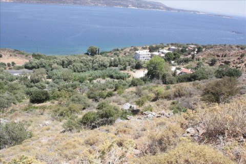 13680m² Land in Souda, Greece No. 57944 8