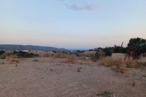 10554m² Land in Monagroulli, Cyprus No. 42083 6