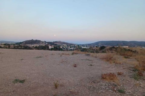 10554m² Land in Monagroulli, Cyprus No. 42083 5