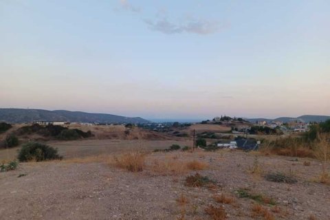 10554m² Land in Monagroulli, Cyprus No. 42083 7