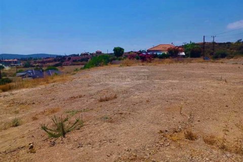 10554m² Land in Monagroulli, Cyprus No. 42083 2