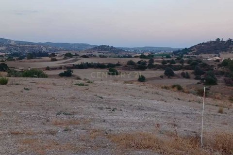 10554m² Land in Monagroulli, Cyprus No. 42083 10