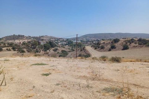 10554m² Land in Monagroulli, Cyprus No. 42083 4