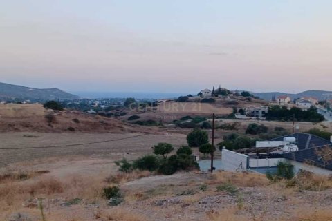 10554m² Land in Monagroulli, Cyprus No. 42083 9