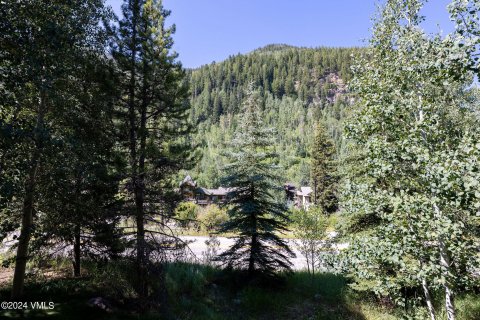 3 chambres House à Vail, USA No. 62046 24