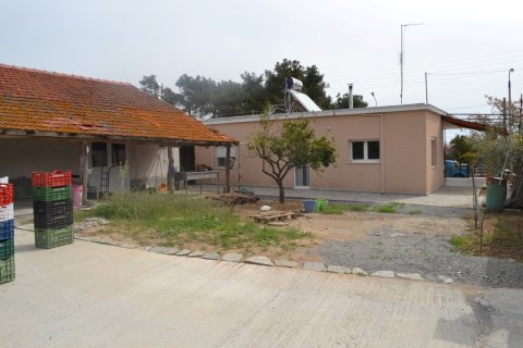 3 bedrooms House in Chalkidiki, Greece No. 58194 14