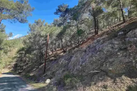 21682m² Land à Moniatis, Cyprus No. 35369 1