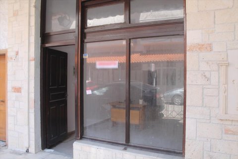 220m² Business in Chalkidiki, Greece No. 58632 15