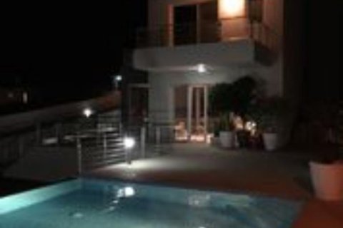 Apartamento tipo estudio Estudio en Paphos, Cyprus No. 51367 4