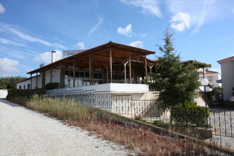 420m² Negocio en Chalkidiki, Greece No. 58471 3