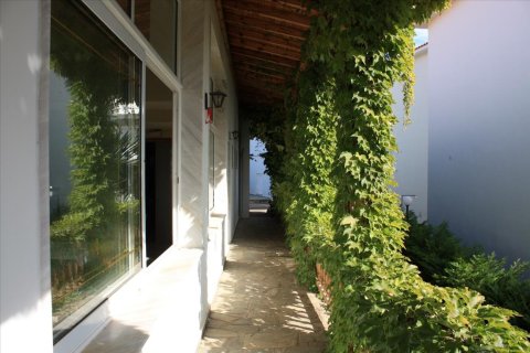 420m² Business in Chalkidiki, Greece No. 58471 14