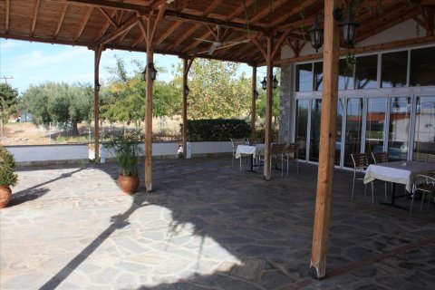 420m² Negocio en Chalkidiki, Greece No. 58471 13