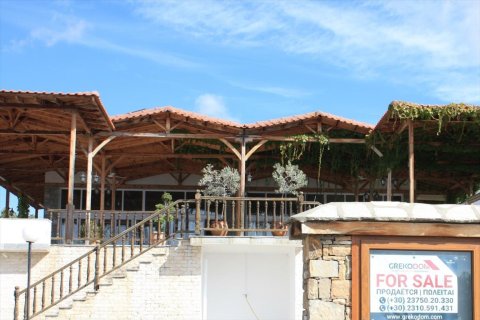 420m² Business in Chalkidiki, Greece No. 58471 4