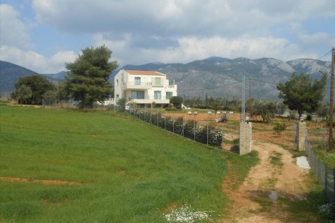 4 bedrooms House in Megara, Greece No. 58472 17