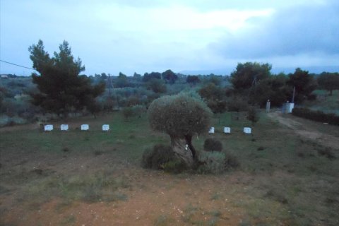 4 chambres House à Megara, Greece No. 58472 19