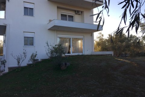 5 bedrooms Villa in Euboea, Greece No. 58483 1