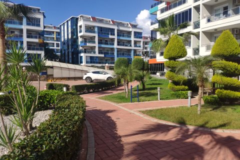 2+1 Penthouse en Kestel, Turkey No. 23778 18