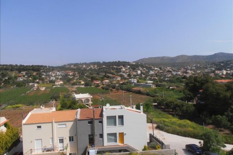 440m² Villa in Markopoulo Mesogaias, Greece No. 60424 5