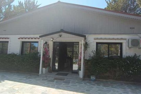 3 bedrooms House in Apsiou, Cyprus No. 31633 4