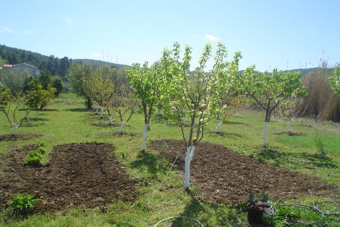 120m² House à Karystos, Greece No. 60531 14