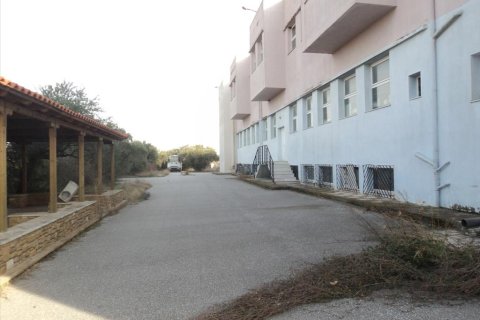 5230m² Affaires à Chalkidiki, Greece No. 60530 17