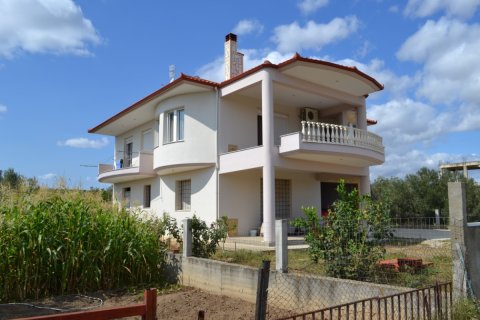 5 dormitorios Villa en Chalkidiki, Greece No. 48439 2