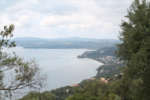 8000m² Land en Corfu, Greece No. 60434 1