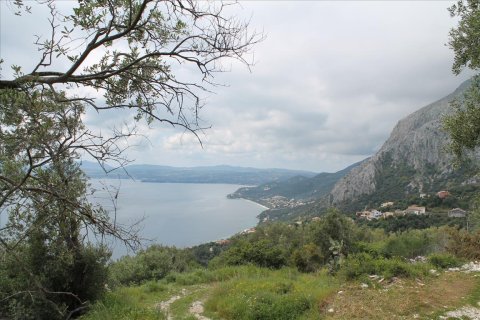 8000m² Land en Corfu, Greece No. 60434 3