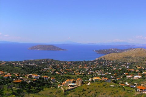 7000m² Land in Anavyssos, Greece No. 60433 1