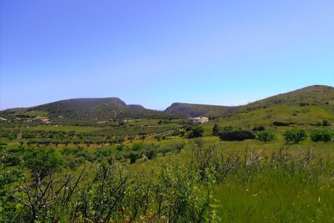 7000m² Land à Anavyssos, Greece No. 60433 2