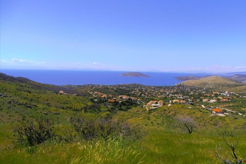 7000m² Land in Anavyssos, Greece No. 60433 3