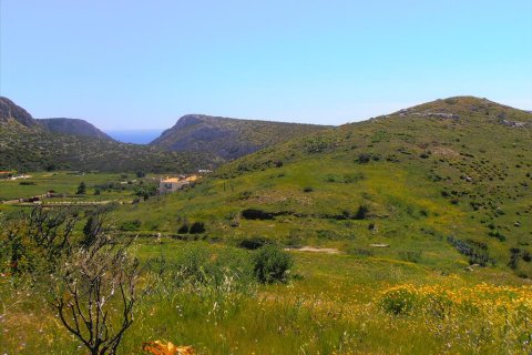 7000m² Land in Anavyssos, Greece No. 60433 4