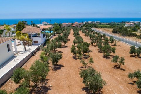 7 dormitorios Villa en Paphos, Cyprus No. 37752 11