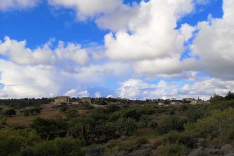 55854m² Land in Pissouri, Cyprus No. 71743 3