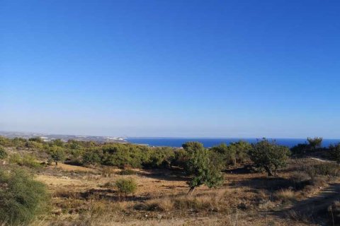 55854m² Land in Pissouri, Cyprus No. 71743 2