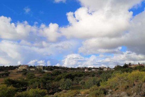 55854m² Land in Pissouri, Cyprus No. 71743 4