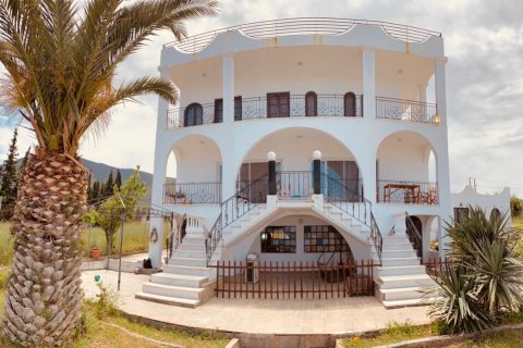 200m² Villa in Euboea, Greece No. 55595 2