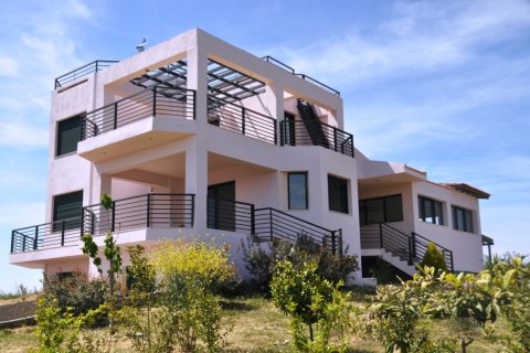 6 bedrooms Villa in Chalkidiki, Greece No. 49399 4