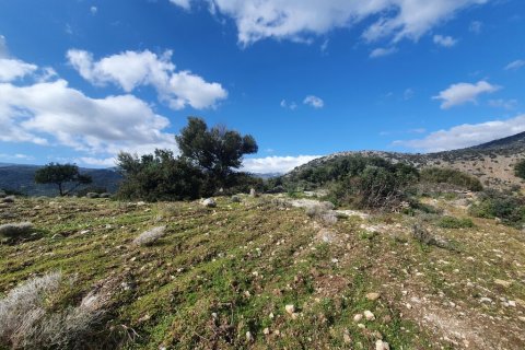 4790m² Land en Agios Nikolaos, Greece No. 56081 2