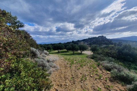 4790m² Land à Agios Nikolaos, Greece No. 56081 5