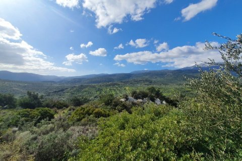 4790m² Land en Agios Nikolaos, Greece No. 56081 3