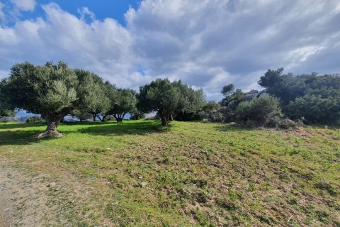 4790m² Land en Agios Nikolaos, Greece No. 56081 4