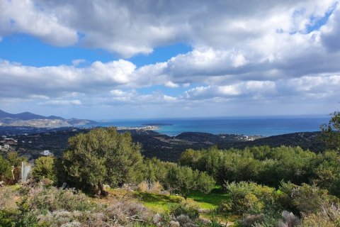 4790m² Land à Agios Nikolaos, Greece No. 56081 1