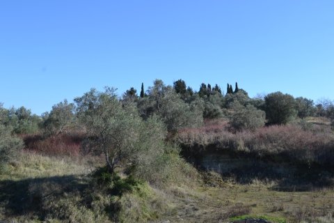 14700m² Land in Corfu, Greece No. 59874 5