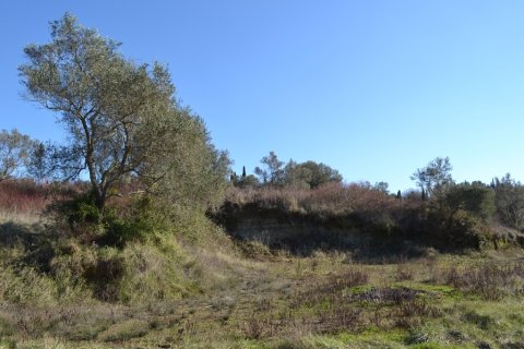 14700m² Land en Corfu, Greece No. 59874 2