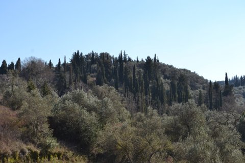 14700m² Land in Corfu, Greece No. 59874 3